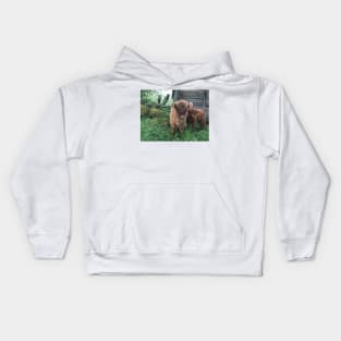 Scottish Highland Cattle Calves 1506 Kids Hoodie